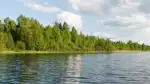 Vattenskyddsområde, vatten med skog