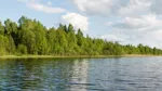 Vattenskyddsområde, vatten med skog.