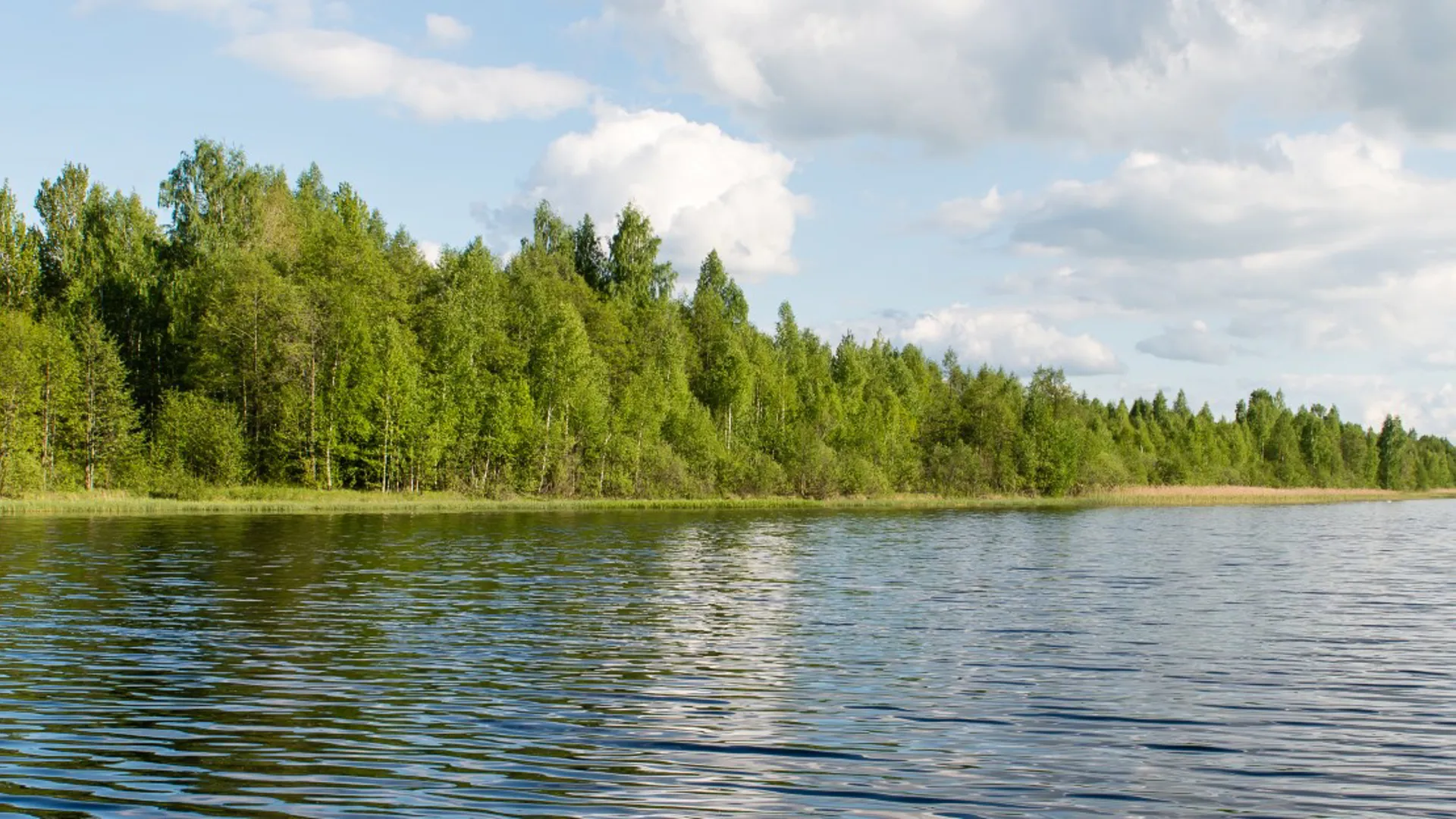 Vattenskyddsområde, vatten med skog