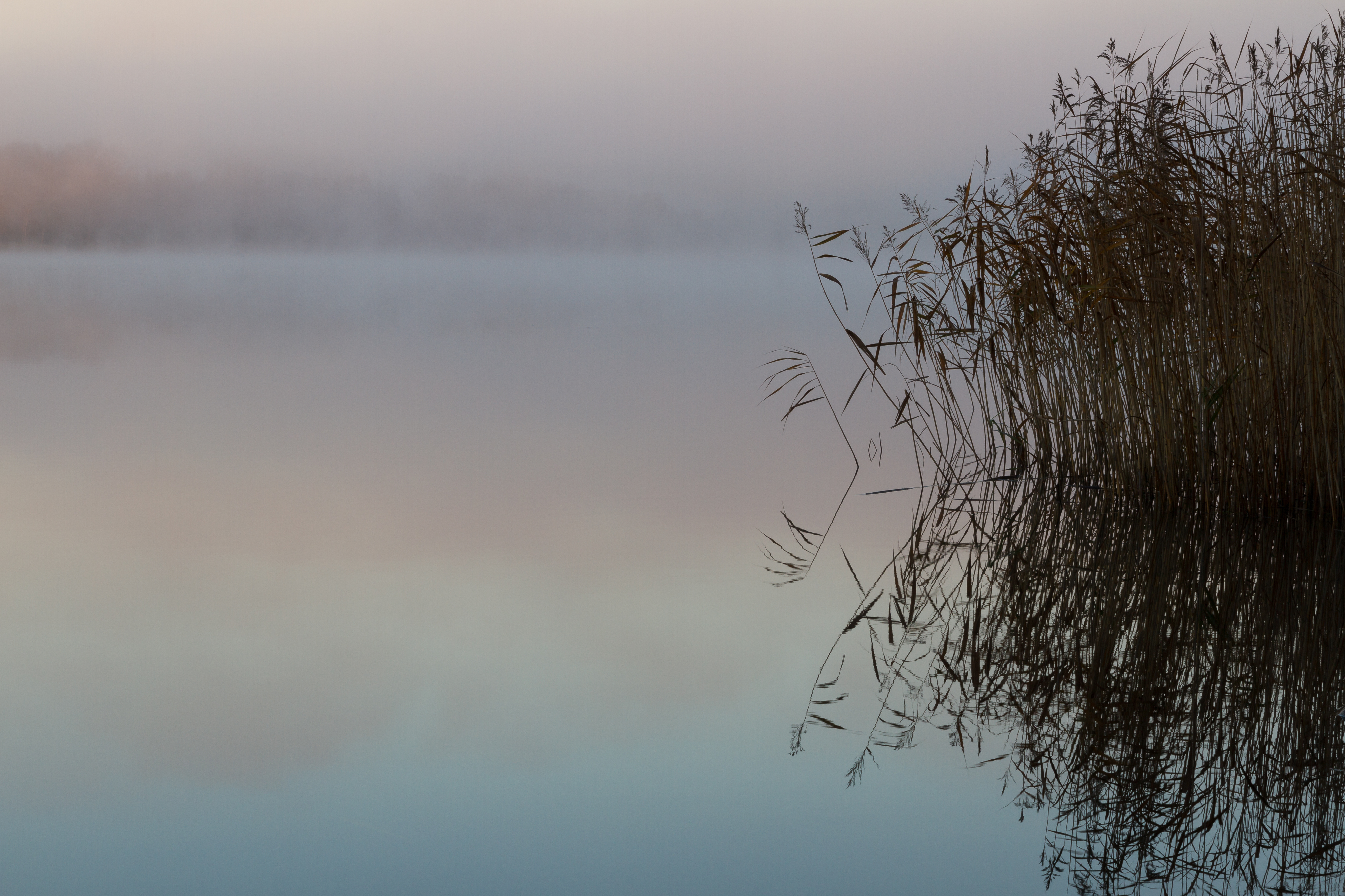 Dimma över spegelblank sjö.