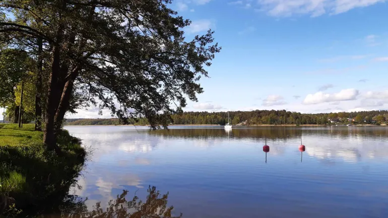 Strandkant med vy över vatten där en segelbåt och två bojar syns i bakgrunden.